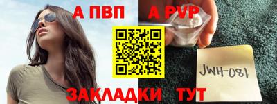 кокс Донской