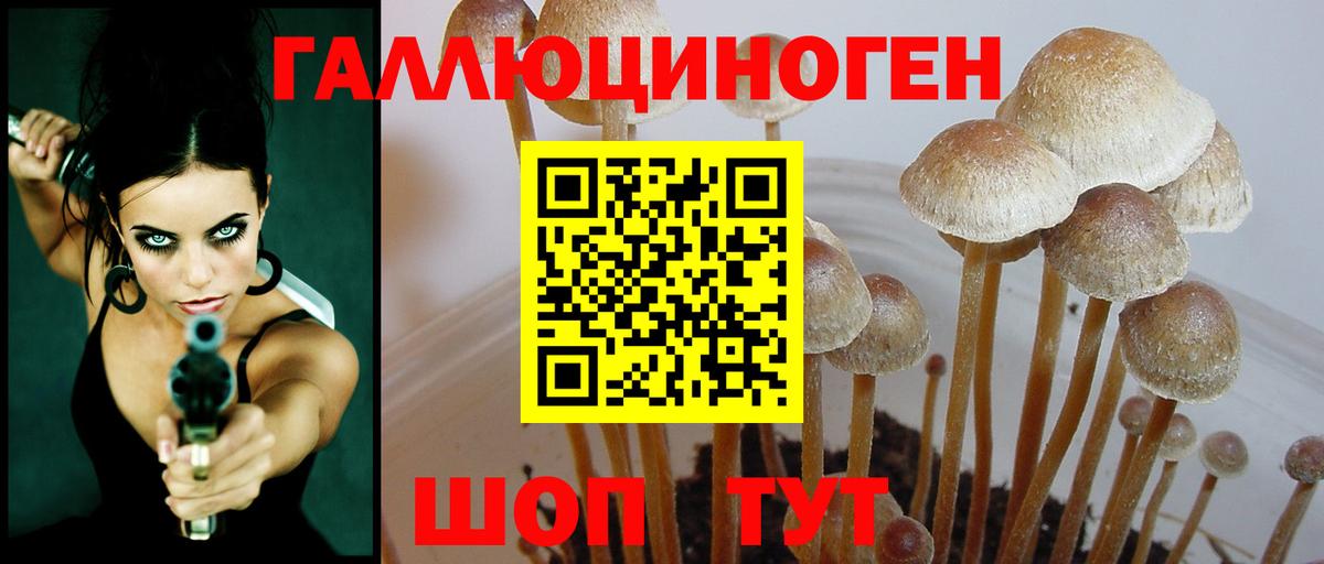 Междуреченск  Псилоцибиновые грибы ЛСД  Вход с VPN 